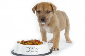 Dog_Food