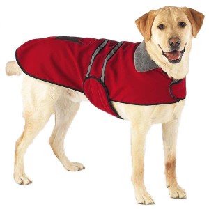 red dog coat