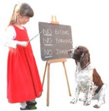 Basic-Training-Classes