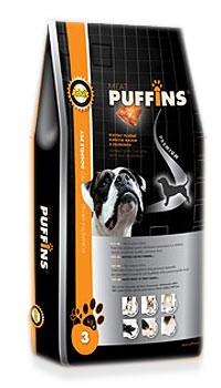 Puffins_Adult