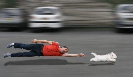 dog-pulling-leash
