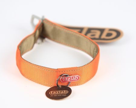 Blaze_Orange