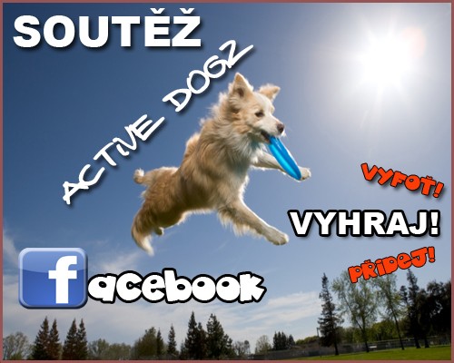 Active_Dogz