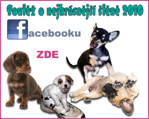 stene