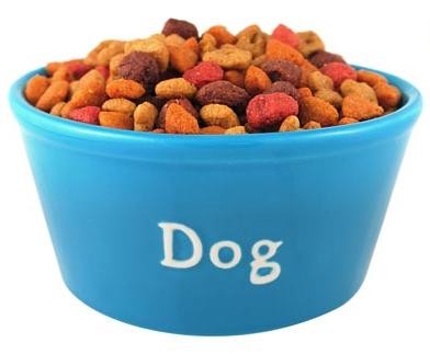 eating_dogs_food