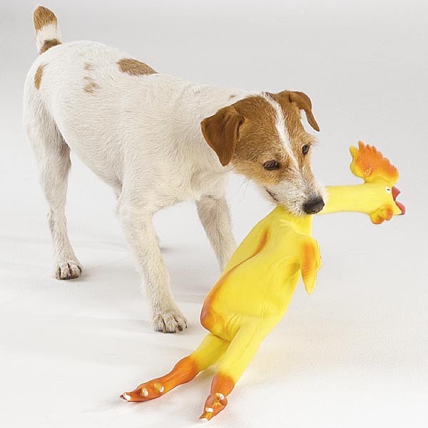 Rubber Chicken Dog Toy