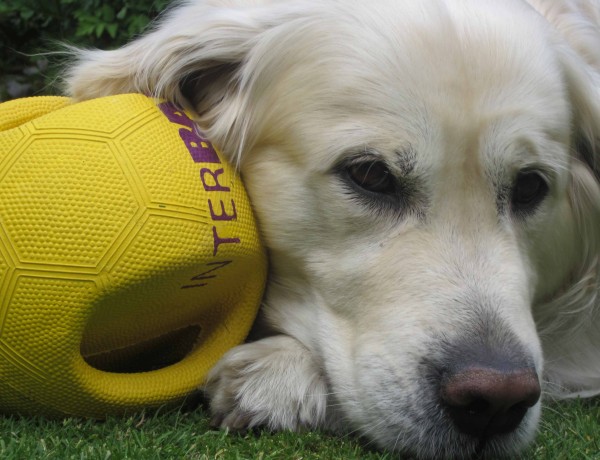 ball