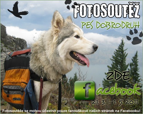 pes-dobrodruh