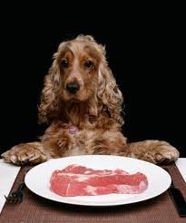 natural-dog-foods-1