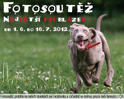 fotosoutez-blazen