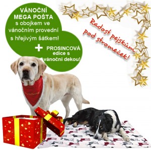 BANNER-FB-prosinec