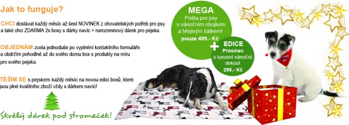 hlavicka-posta-prosinec